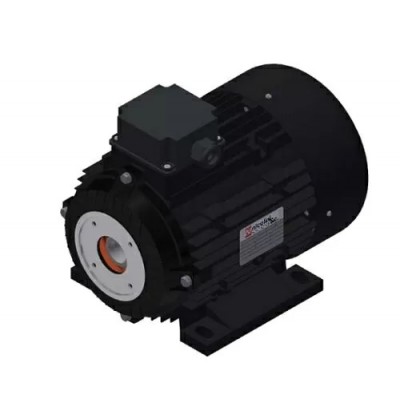 Электродвигатель 4 кВт полый вал 24 мм 230/400 В - 50 Гц, 100 T4 B3 BS AC