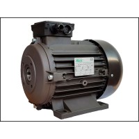 Двигатель 9,2 кВт H132L полый вал d 24 мм с напольной установкой Двигатель 9,2 кВт H132L полый вал d 24 мм с напольной установкой