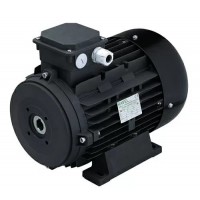Двигатель 5.5 кВт 380B,H112 полый вал d24мм, фланец насоса 87 мм Двигатель 5.5 кВт 380B,H112 полый вал d24мм, фланец насоса 87 мм