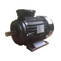 Мотор Ravel H100 HP 6.1 4P B34 MA Kw4,4 4P Мотор Ravel H100 HP 6.1 4P B34 MA Kw4,4 4P