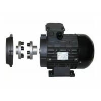 Двигатель 5,5 кВт, 380B H112 полый вал d 24 мм с эластичной муфтой Двигатель 5,5 кВт, 380B H112 полый вал d 24 мм с эластичной муфтой