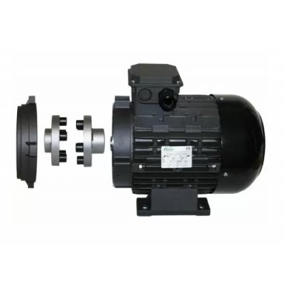 Двигатель 5,5 кВт, 380B H112 полый вал d 24 мм с эластичной муфтой