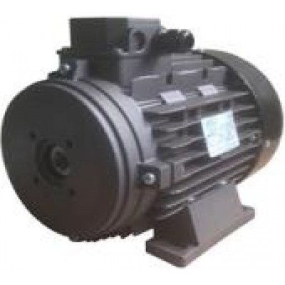 Мотор H132L HP 12.5 4P MA AC KW 9,2