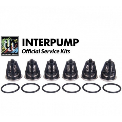 Ремкомплект Interpump Kit 62