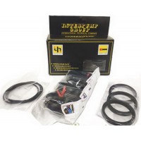 KIT 295 Ремкомплект верхних клапанов для помп AB80, AB100, AB120, AB150