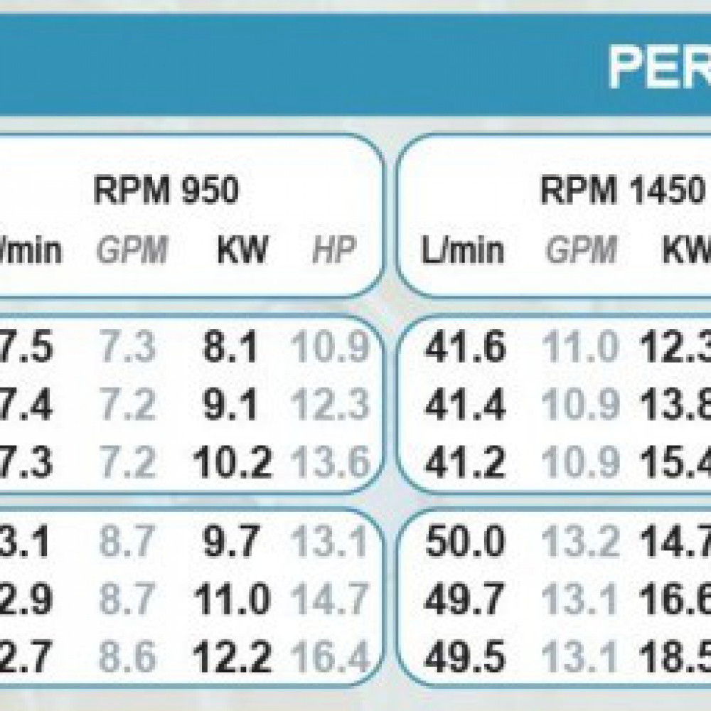 Насос высокого давления Bertolini RBL 4219-P (08104297A) Насос высокого давления Bertolini RBL 4219-P (08104297A)
