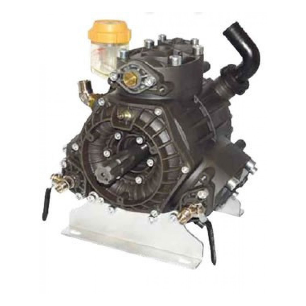 Мембранный насос Bertolini PBO*1 1100 VD