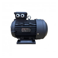 Электродвигатель TOR H112 HP 5.0 кВт