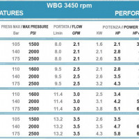 Насос Bertolini WBG 2525 для бензинового двигателя (175 бар, 9,5 л/мин, полый вал 3/4 Насос Bertolini WBG 2525 для бензинового двигателя (175 бар, 9,5 л/мин, полый вал 3/4