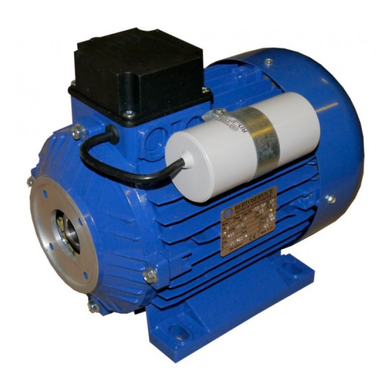 Электродвигатель Nicolini IEC 90L 1,1 кВт, полый вал, 1420 об/мин, 1 фаза 230 В (WBL)